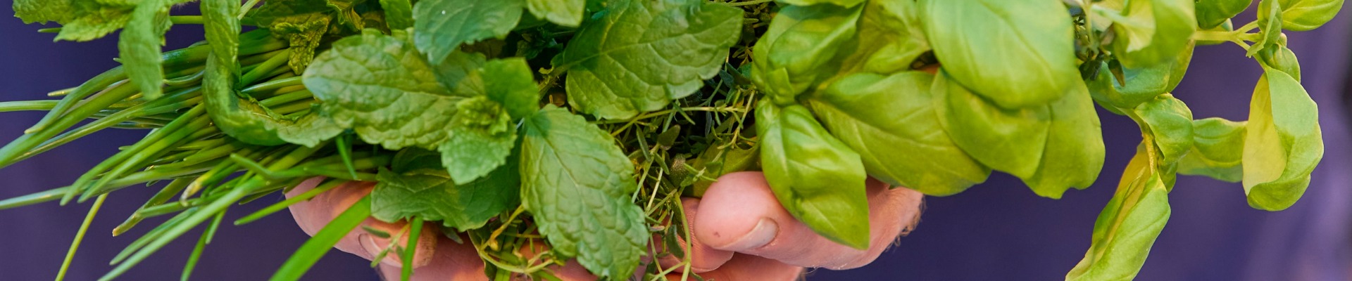 Rechtstreeks van de boer