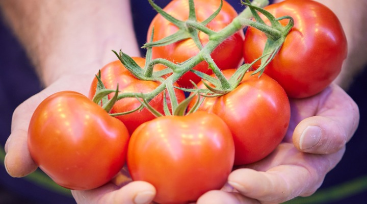 Heerlijke smaakbommetjes