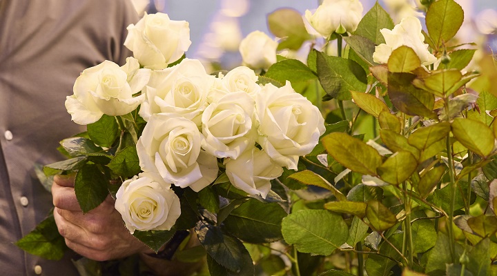 Dekamarkt_Rozen_MeijerRoses_ 720_400_4