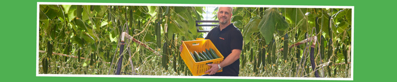 Online Den helder web7