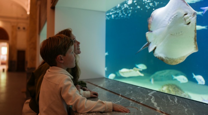 ARTIS_oceaan