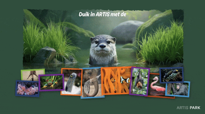 DekaMarkt-Gif 1 720x400nw