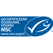 MSC Vis