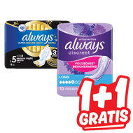 Always Discreet, Cotton of Night