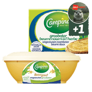 Campina Botergoud