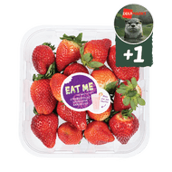 Zoete Spaanse Aardbeien