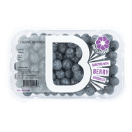 Blauwe Bessen