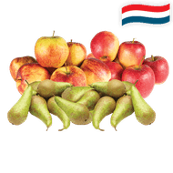 Hollandse Elstar of Jonagold Appels of Conference Peren