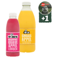 Fruity Juice of Smoothie