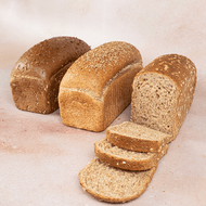 DekaVers Hollander of Tarpan Brood