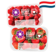 Hollandse Frambozen of Aardbeien