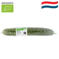 Hollandse Bio Komkommer