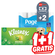 Page of Kleenex