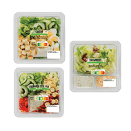 Saladeschotel