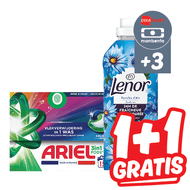 Ariel of Lenor