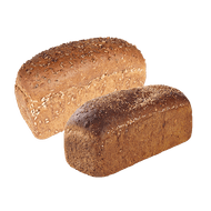 Dekavers Hollander of Tarpan Brood