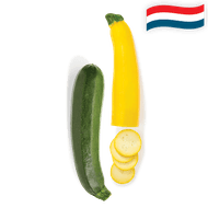 Hollandse Gele of Groene Courgette