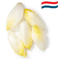 Hollandse Witlof