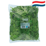 Hollandse Spinazie