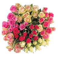Rozen
