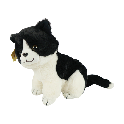 Sunkid Knuffel Kat