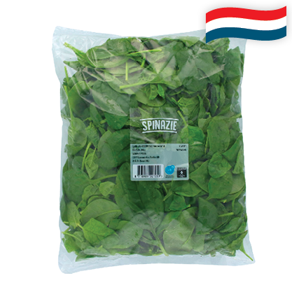 Hollandse Spinazie