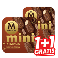 Magnum Ijs of Friesche Koe