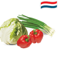 Hollandse Ijsbergsla, Bosui of Paprika