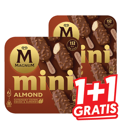 Magnum Ijs of Friesche Koe