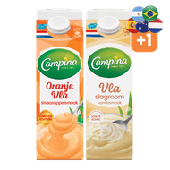 Campina Vla