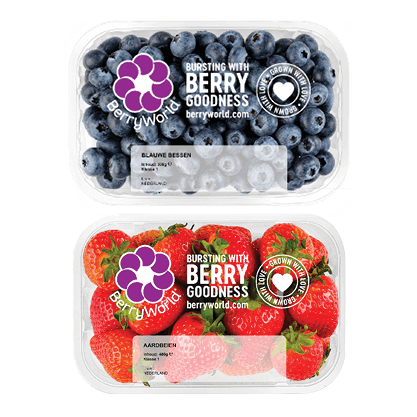 Blauwe Bessen of Hollandse Aardbeien