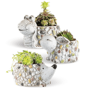 Arrangement Stenen Dieren