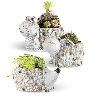 Arrangement Stenen Dieren
