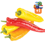 Hollandse Zoete Puntpaprika Rood of Mix