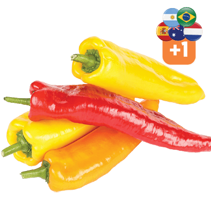Hollandse Zoete Puntpaprika Rood of Mix