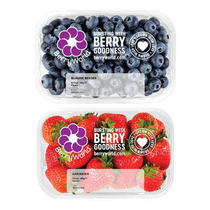 Blauwe Bessen of Hollandse Aardbeien