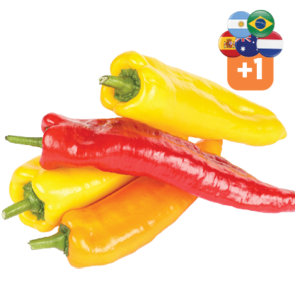 Hollandse Zoete Puntpaprika Rood of Mix