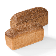 Hollander of Tarpan Brood