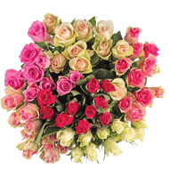 Rozen