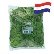 Hollandse Spinazie