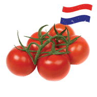 Hollandse Trostomaten