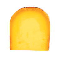 Noord Hollandse Jong Belegen