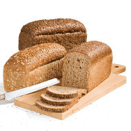 Hollander of Tarpan Brood