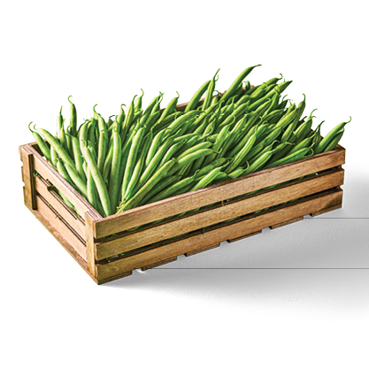 Hollandse Sperziebonen
