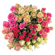 Rozen