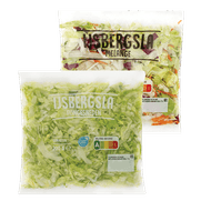 Ijsbergsla