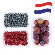 Hollandse Blauwe of Rode Bessen of Pruimen