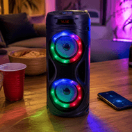Generic Portable Party Speaker