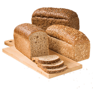 Hollander of Tarpan Brood
