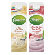 Campina Vla